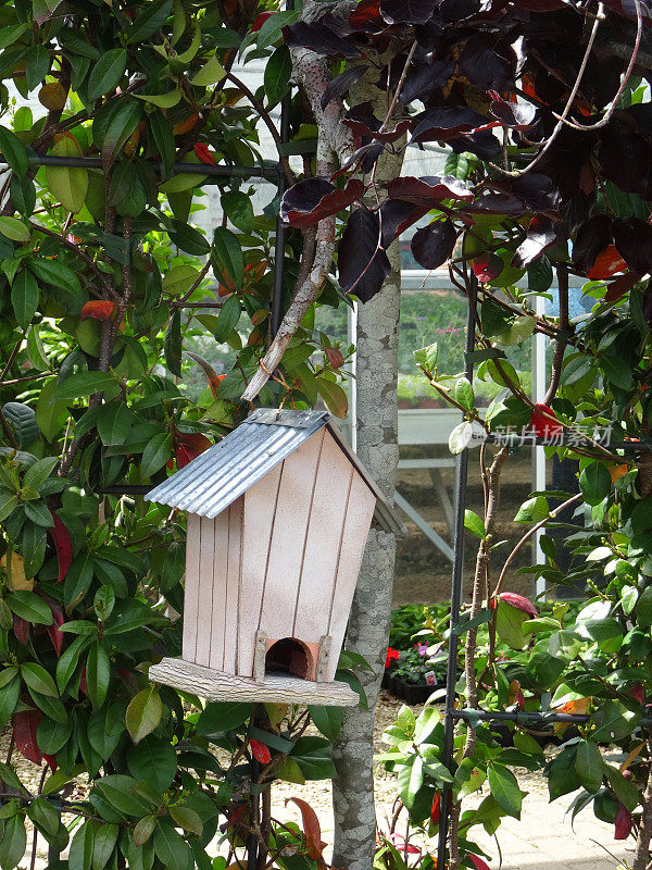 挂在花园树上的木制鸟笼/鸟巢